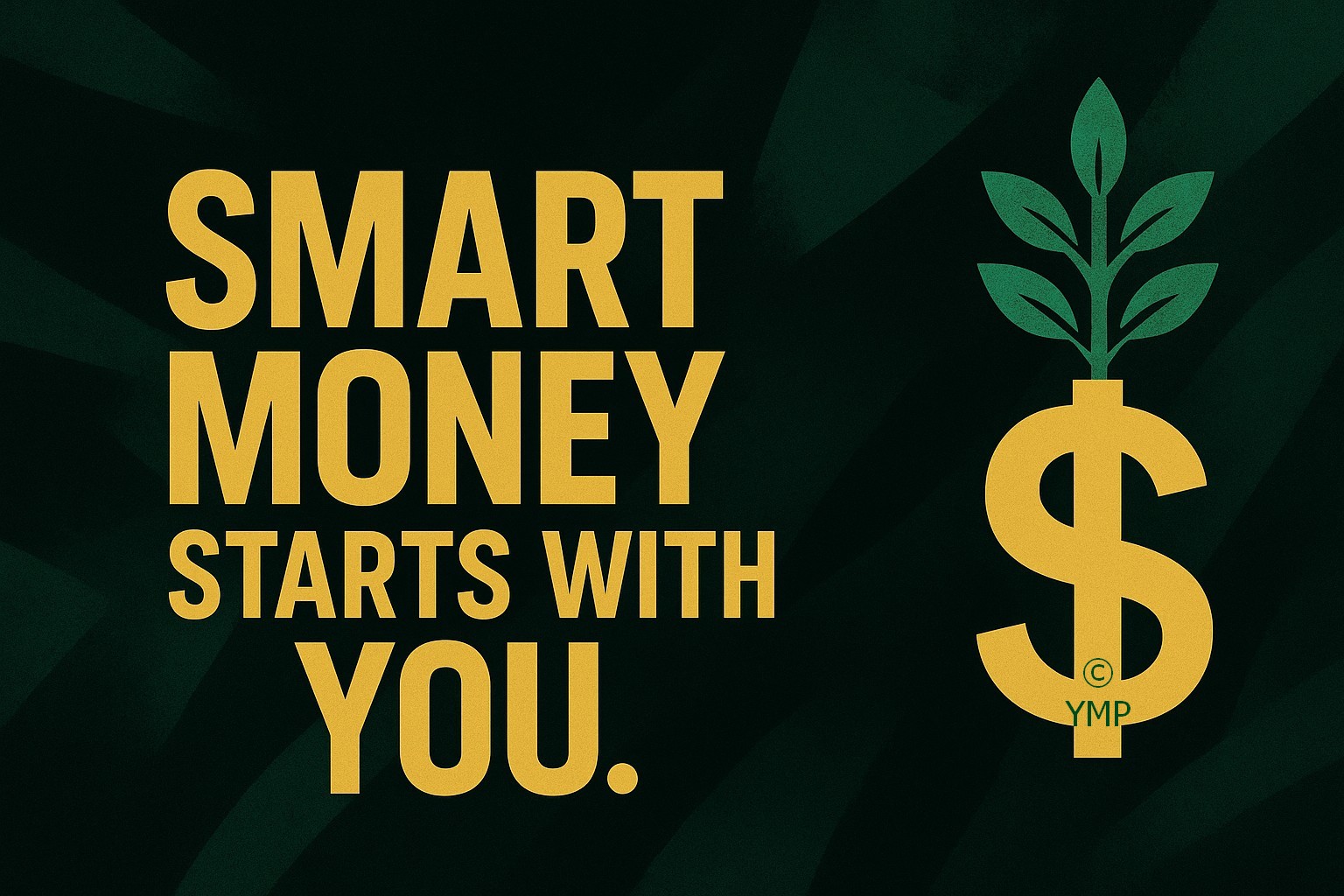 Your Money Plug